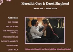 Meredith/DerekWeddingWebsite