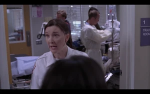 Into You Like a Train