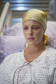 6x01-25.jpg (339 KB)