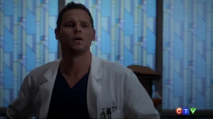 Alex Karev