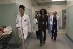 You Can Look (But You'd Better Not Touch) | Grey's Anatomy Universe Wiki |  Fandom