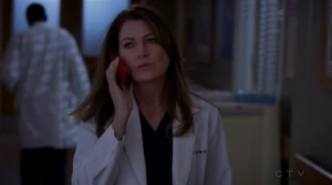 Meredith Grey