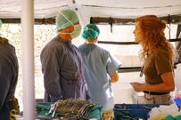 13x08-17.jpg (94 KB)