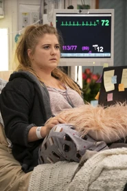 16x13-33.jpg (5.22 MB)