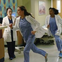 Crazy Love Grey S Anatomy Universe Wiki Fandom
