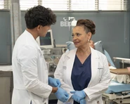 21x15-16.jpg (65 kB)