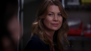 9x13MeredithGrey