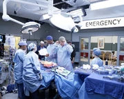 13x08BTS3.jpg (127 KB)