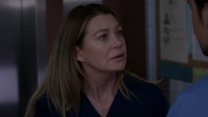 Meredith Grey
