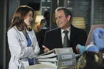 Robert Stark | Grey's Anatomy Universe Wiki | Fandom