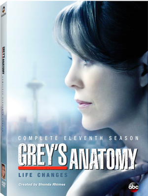 GreysAnatomyS11DVD