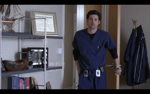 Derek Shepherd