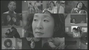 The Cristina collage from the opening title.