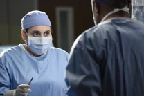 Tess Anderson | Grey's Anatomy Universe Wiki | Fandom