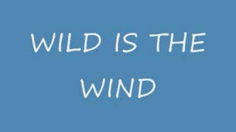 "Wild is the Wind" - The Second Band