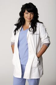 Season 2 (Grey's Anatomy), Grey's Anatomy Universe Wiki