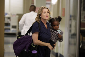 Meredith grey chloe bag best sale