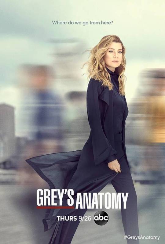 grey anatomy season 1-10 complete