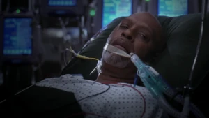 Richard Webber