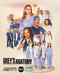 GreysAnatomySeason21Poster.jpg (1.23 MB)