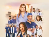 Season 21 (Grey's Anatomy)