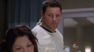 Alex Karev