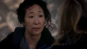 Cristina Yang