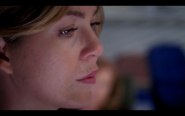 416MeredithGrey