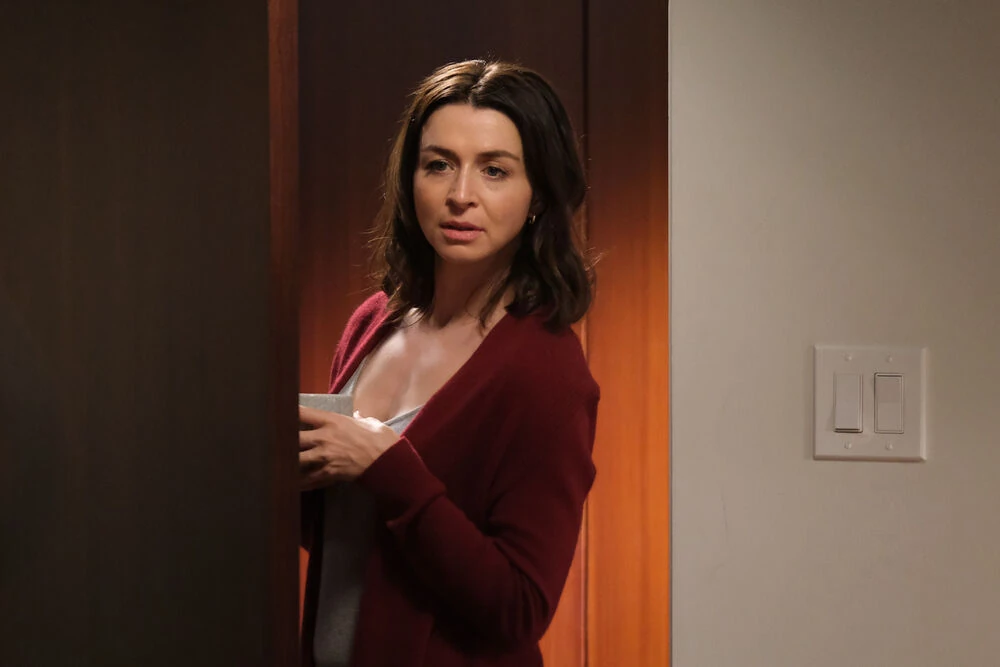 Amelia Shepherd Universo Grey's Anatomy Wiki Fandom