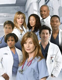 Season 1 Grey s Anatomy Grey s Anatomy Universe Wiki Fandom