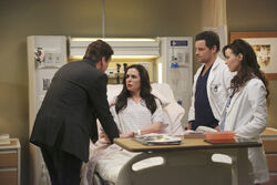 Hard Bargain Grey s Anatomy Universe Wiki Fandom