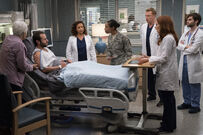 15x20-33.jpg (2.05 MB)