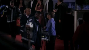 Paramedic (left, talking to Meredith)