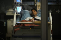 16x13-9.jpg (3.33 MB)