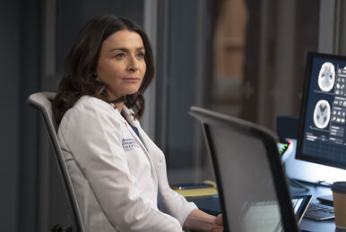 Amelia Carver Grey s Anatomy Universe Wiki Fandom