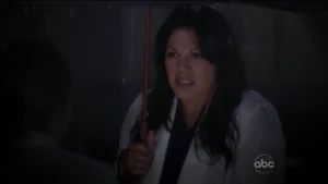 Callie Torres