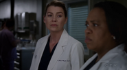 12x18MeredithGrey (1)