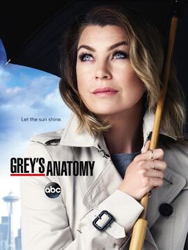 Grey's anatomy season 13 episode 24 watch online hot sale