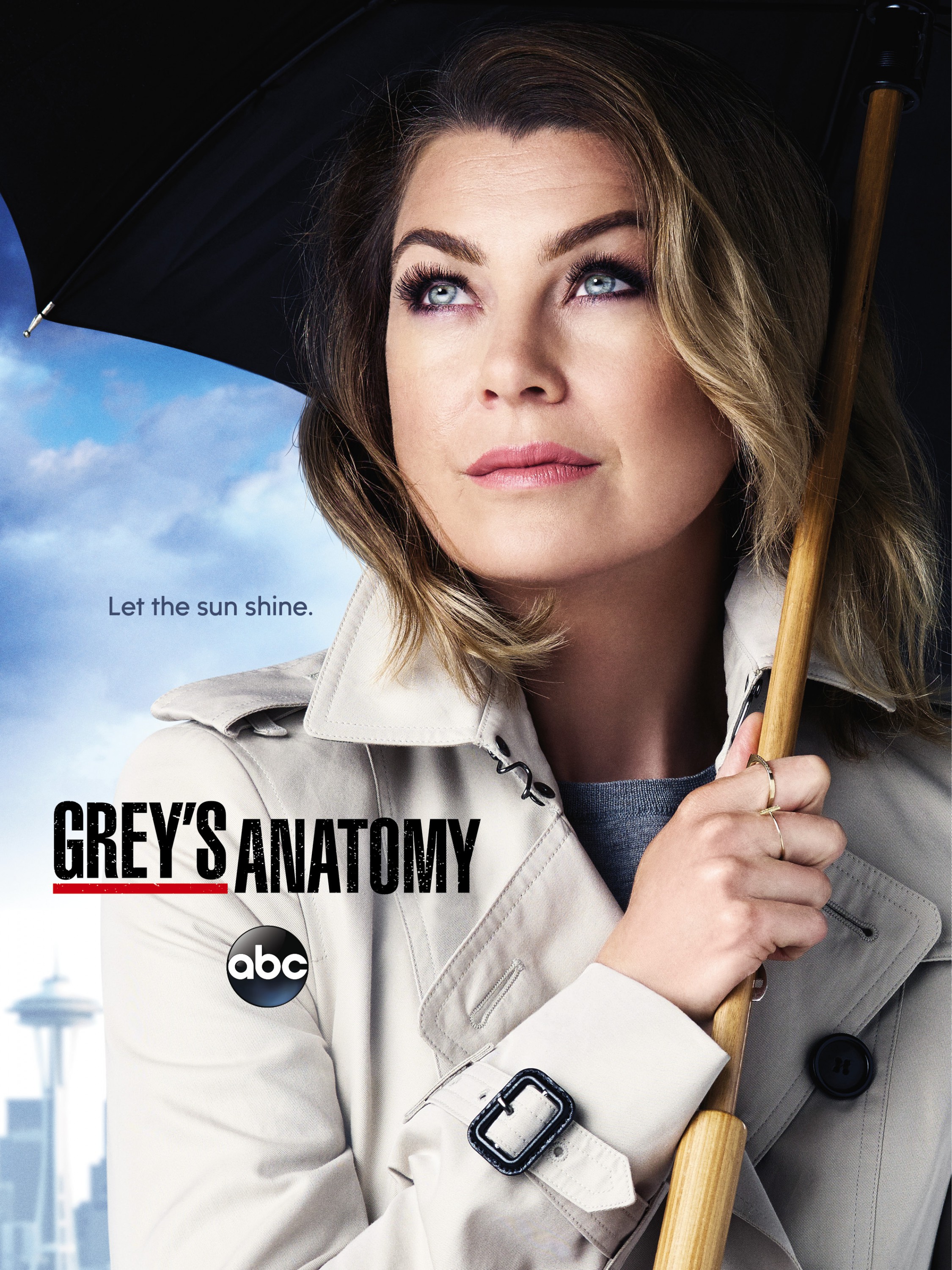 Grey's Anatomy (season 12) - Wikipedia