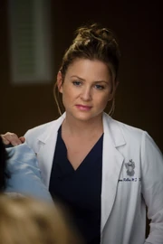 7x13-20.jpg (142 KB)