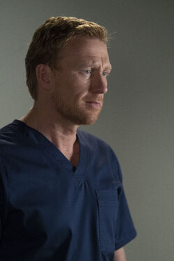 Grey's anatomy shelter from the storm watch online store