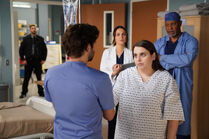 Tess Anderson | Grey's Anatomy Universe Wiki | Fandom