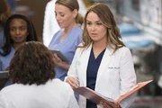 Ahora, bajo el nombre del Dr. Jo Karev, Jo intenta comenzar con la beca.