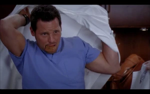 Alex Karev