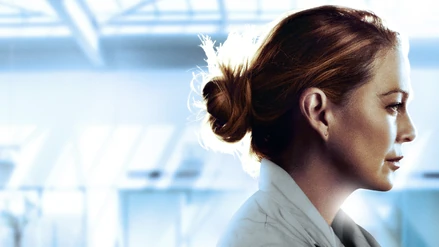 Season17Banner.jpg (1,39 MB)