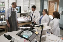 15x17-18.jpg (1.5 MB)