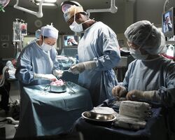 Cristina and Burke in surgery.