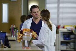 Grey's anatomy season 13 episode top 15 watch online