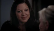 9x03CallieTorres.png (469 kB)