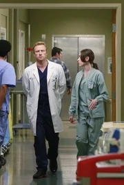 One Flight Down | Grey's Anatomy Universe Wiki | Fandom
